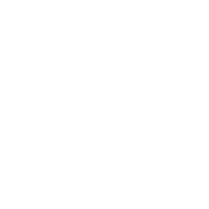 Ícone do curso.